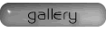 view the gallery